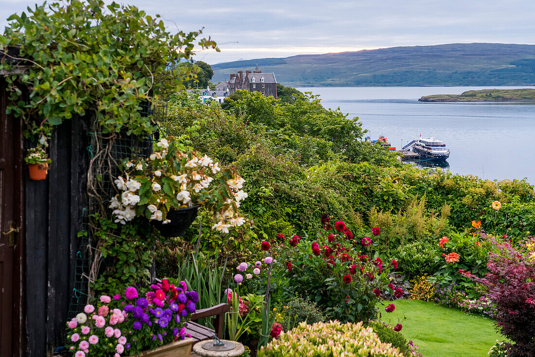 Ein Garten oberhalb des Hafens, an dem ein Ausflugsboot anlegt, in Tobermory, Schottland, Tobermory, Isle of Mull, Schottland