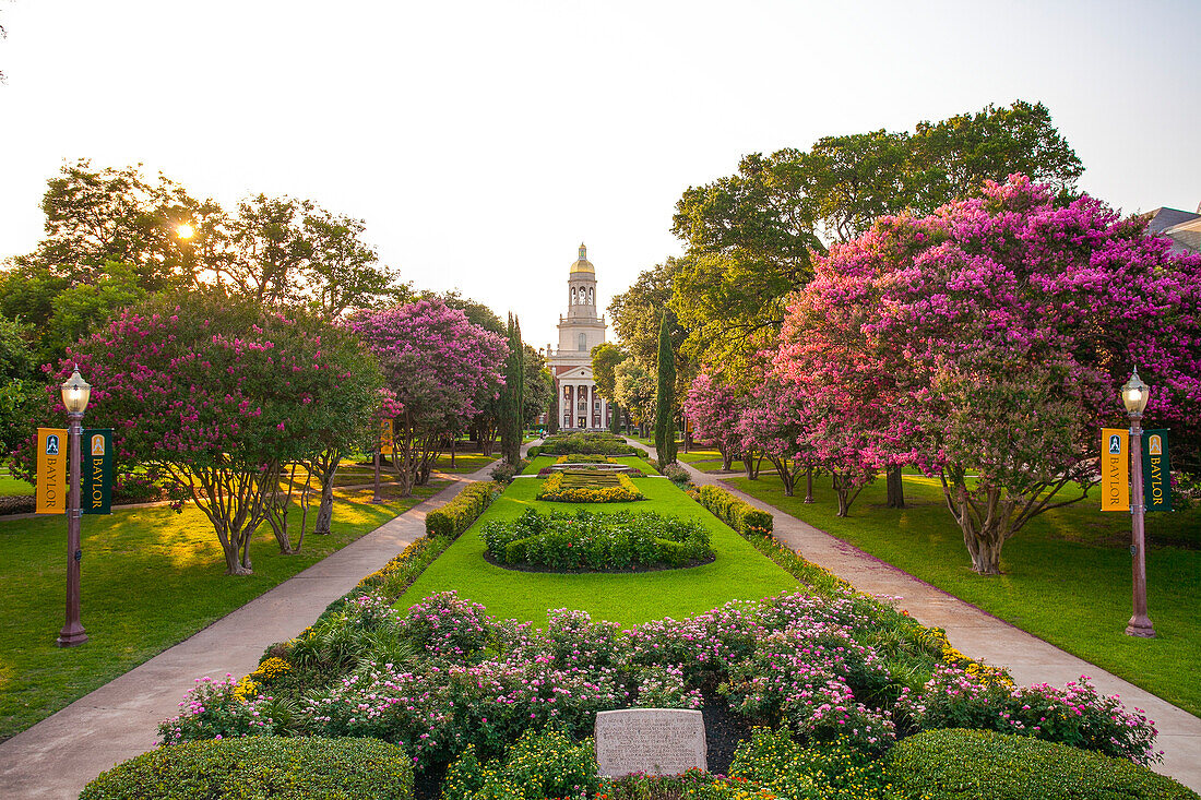 Baylor University historic quadrangle,with blossoming trees and walkways through the beautiful campus and a view to Pat Neff Hall,Waco,Texas,United States of America