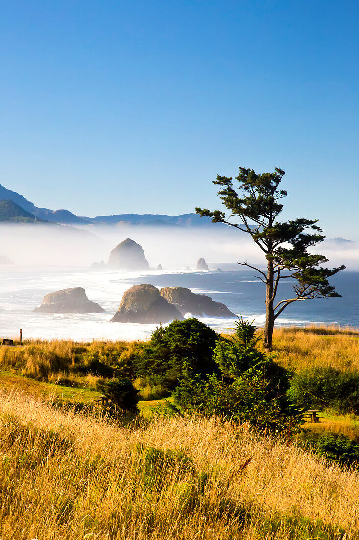 Morgennebel verleiht dem Ecola State Park mit Blick nach Süden zum Haystack Rock und Cannon Beach, Oregon, Vereinigte Staaten von Amerika, eine besondere Schönheit