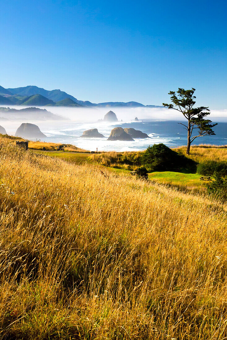 Morgennebel verleiht dem Ecola State Park mit Blick nach Süden zum Haystack Rock und Cannon Beach, Oregon, Vereinigte Staaten von Amerika, eine besondere Schönheit
