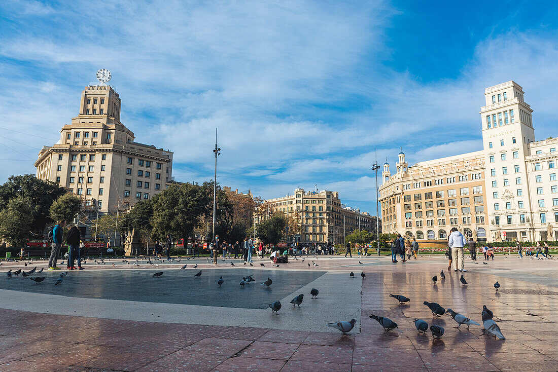 Tauben (Columba livia domestica) und Fußgänger auf dem Placa de Catalunya, Barcelona, Spanien, Barcelona, Spanien