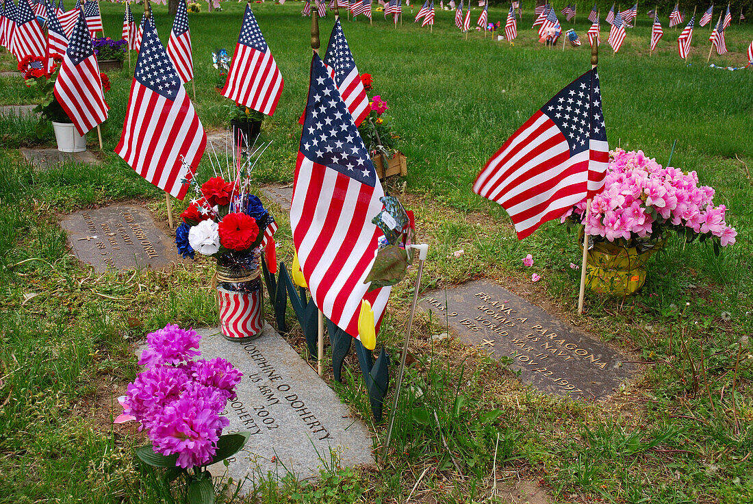 Flags commemorate deceased service men and women on Memorial Day.,Arlington,Massachusetts.