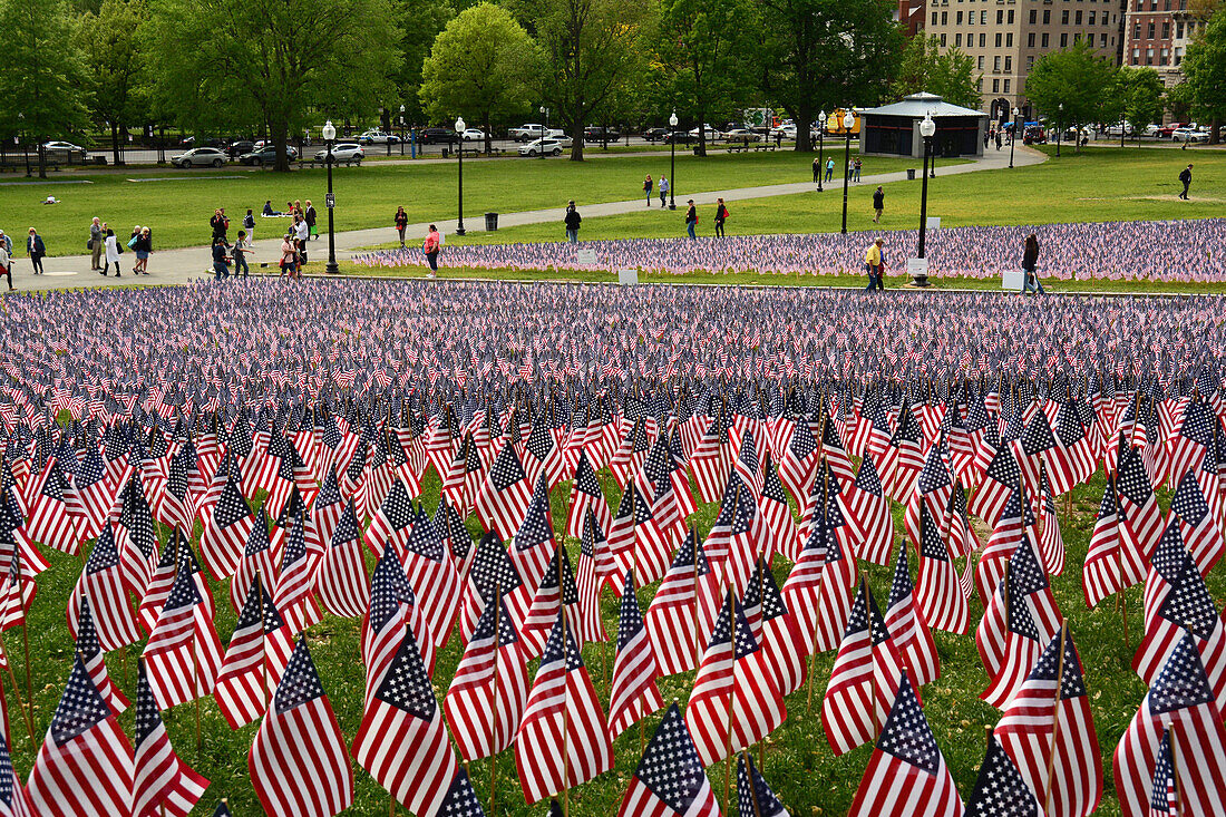 A Memorial Day display of United States of America national flags in honor of fallen military.,Boston Common,Boston,Massachusetts.