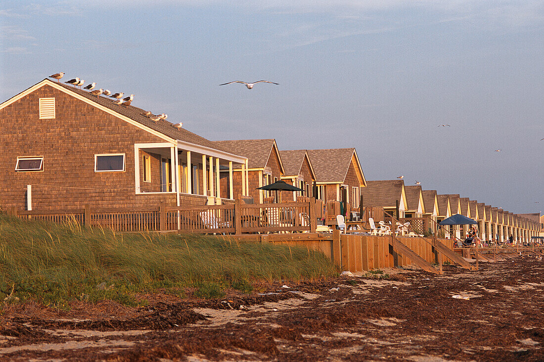 A row of rental cottages on a seaweed strewn beach.,Truro,Cape Cod,Massachusetts.