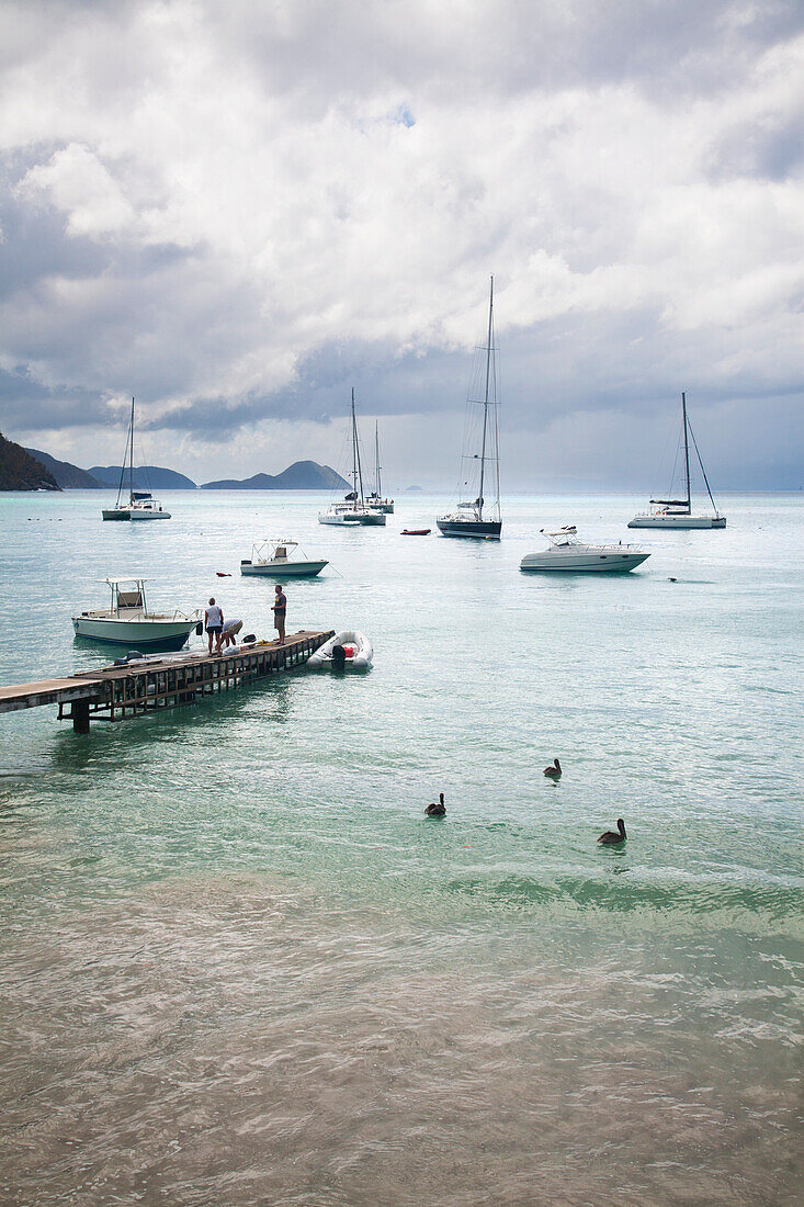 Leben im Hafen von Cane Garden Bay auf der Insel Tortola,Tortola,British Virgin Islands