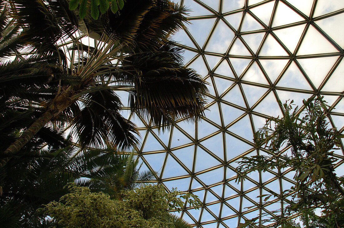 View inside the Bloedel Conservatory in Queen Elizabeth Park,Vancouver,Vancouver,British Columbia,Canada