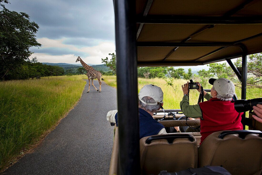 Tourists photograph a giraffe from the safety of their vehicle in Hluhluwe–Imfolozi Park,South Afric,South Africa