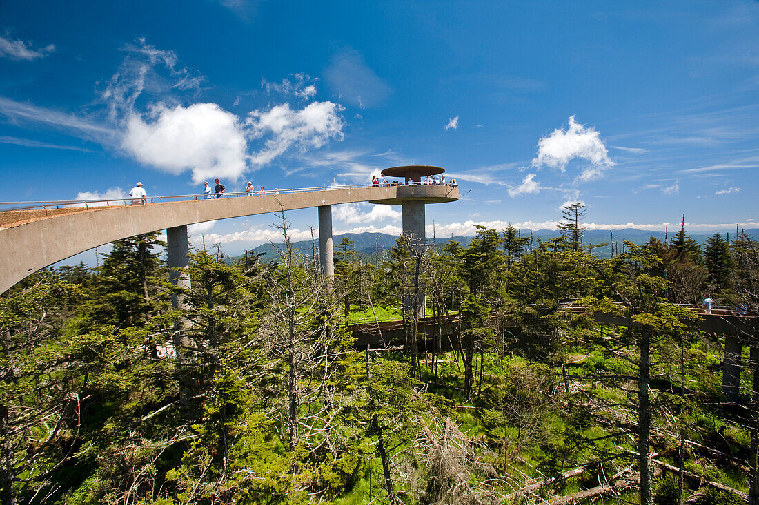 Raised walkway to a scenic overlook in Jackson,Wyoming,USA,Jackon,Wyoming,United States of America