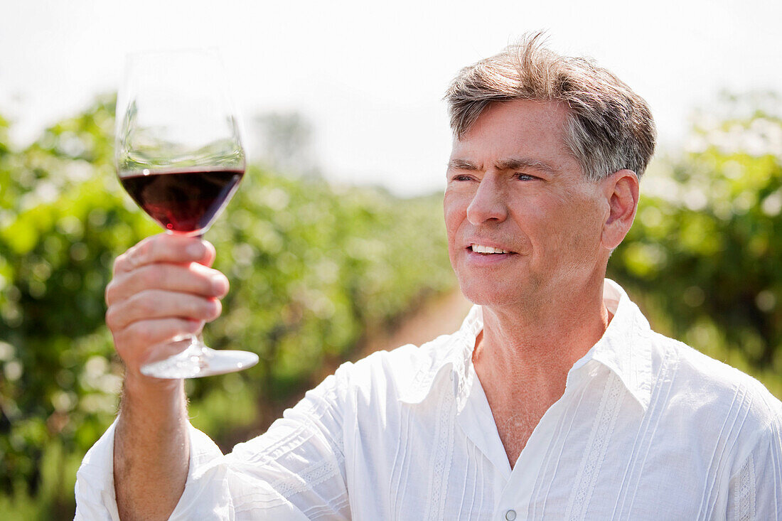 Portrait of Man in Vineyard Examining a Glass of Wine