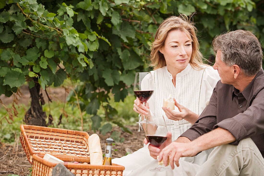 Couple Having a Picnic in a Vineyard
