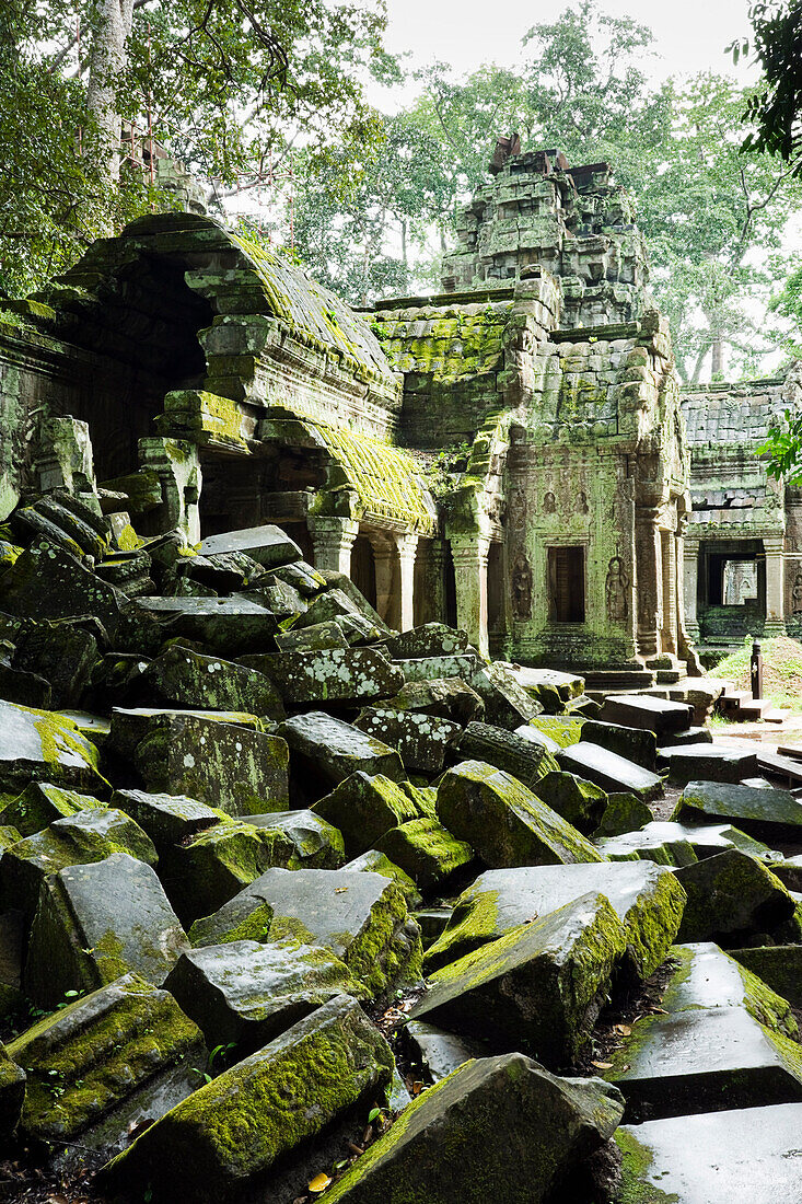 Ta Prohm Temple,Angkor,Cambodia