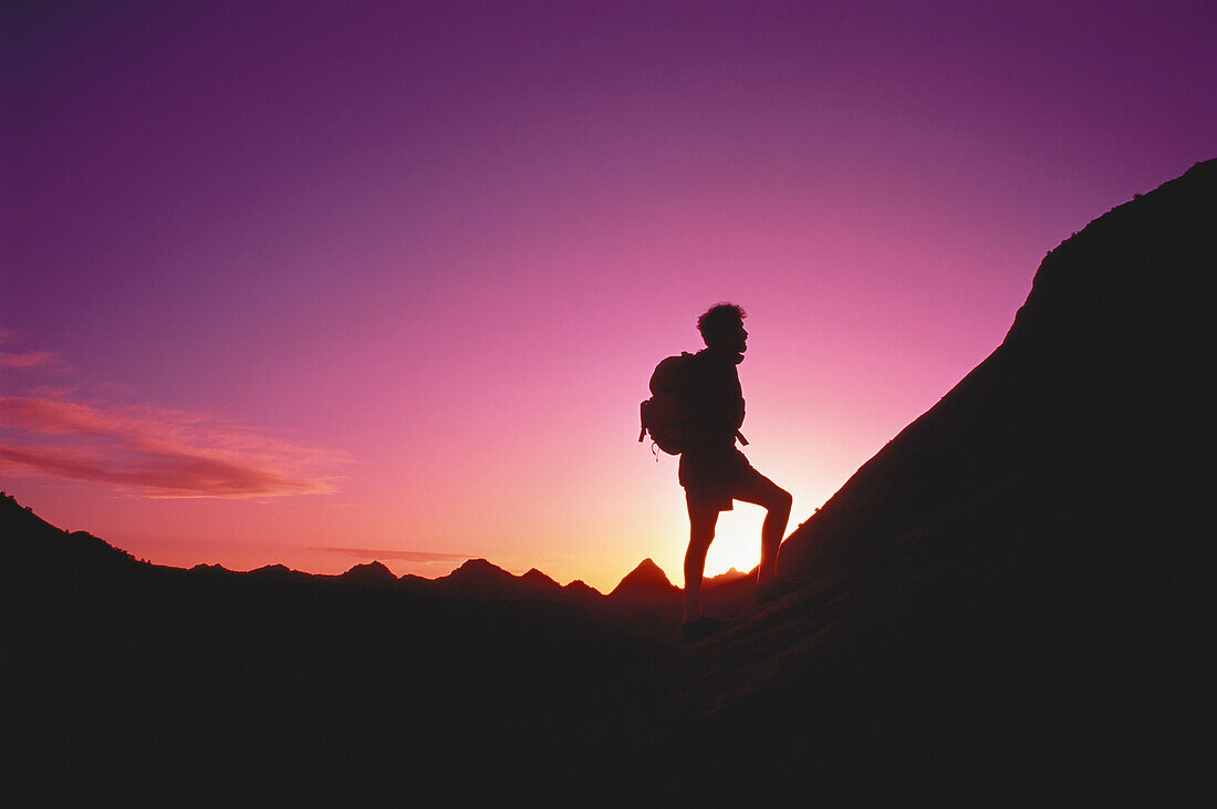 Silhouette of Man Hiking Below The White Cliffs at Sunset Zion National Park,Utah,USA