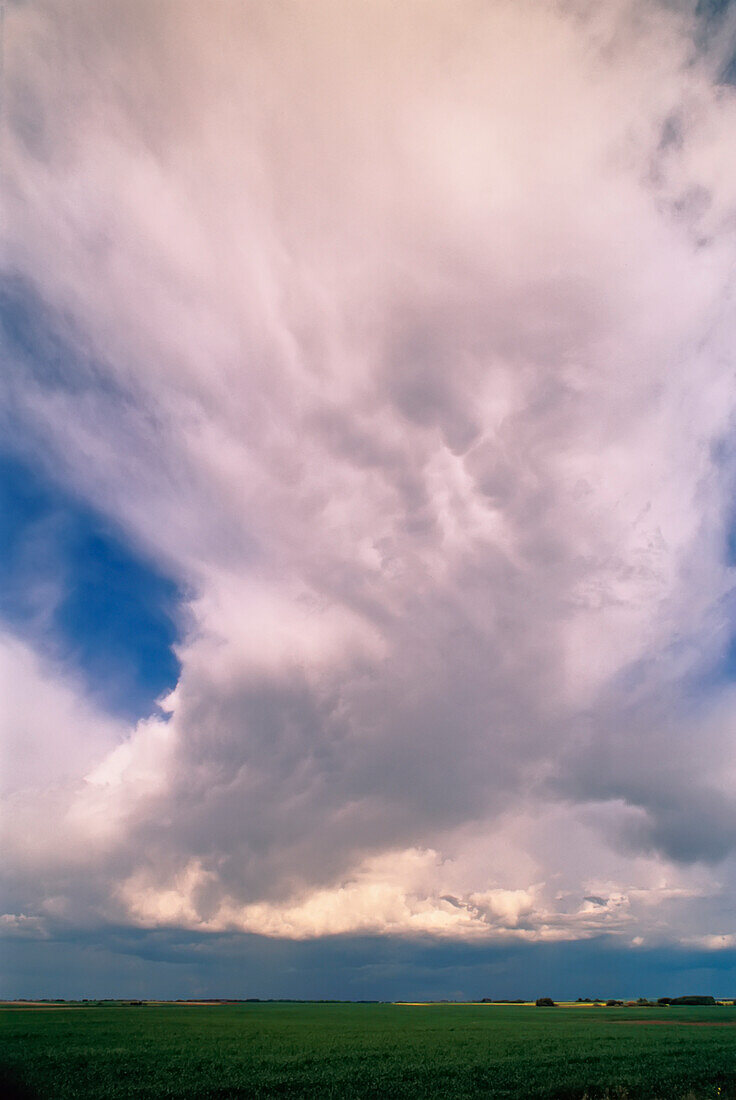 Gewitterwolken östlich von Outlook Saskatchewan, Kanada