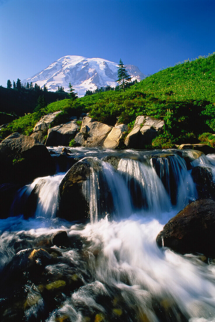 Mount Rainier and Edith Creek Mount Rainier National Park Washington,USA