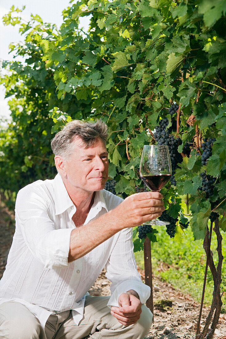 Mann im Weinberg prüft ein Glas Wein