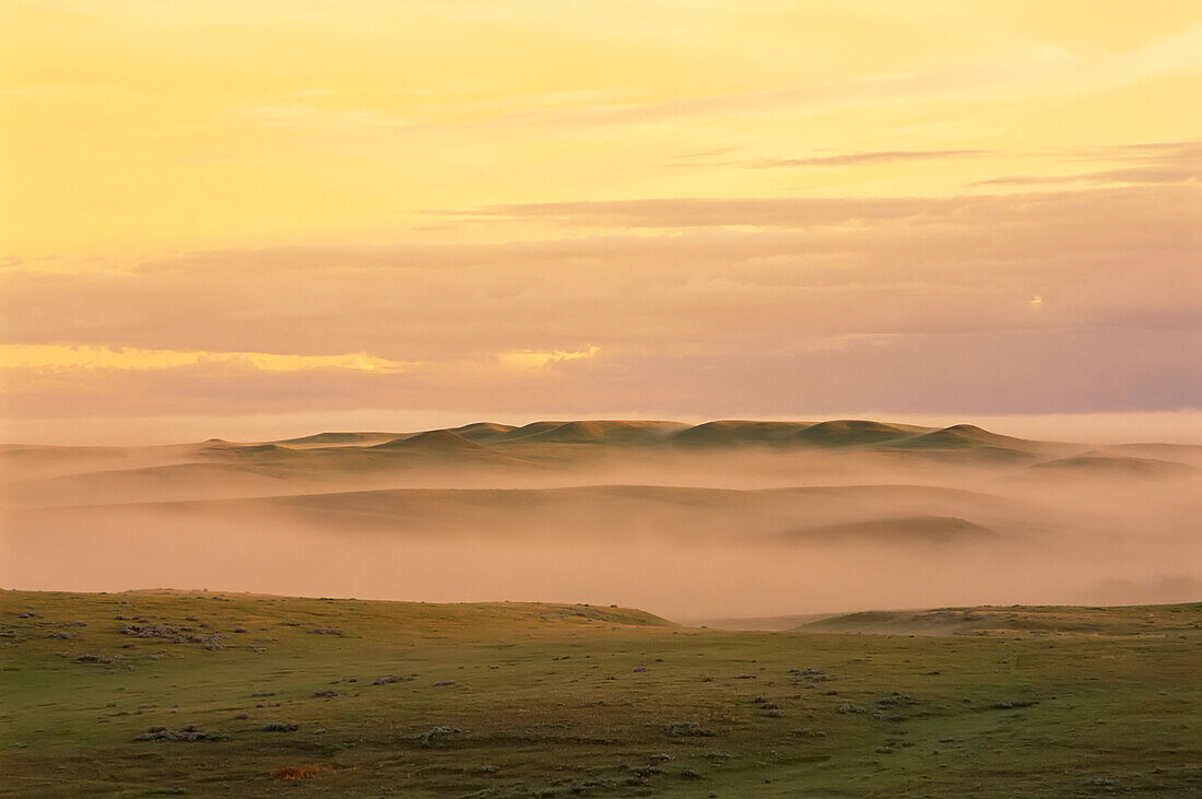 Mist over Grassland,Grasslands National Park,Saskatchewan,Canada