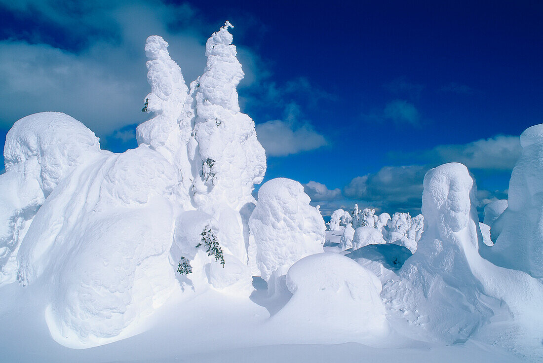 Snow Ghosts,Sun Peaks,British Columbia,Canada