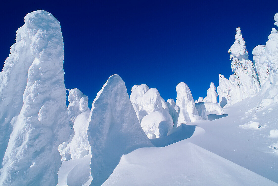 Snow Ghosts,Sun Peaks,British Columbia,Canada