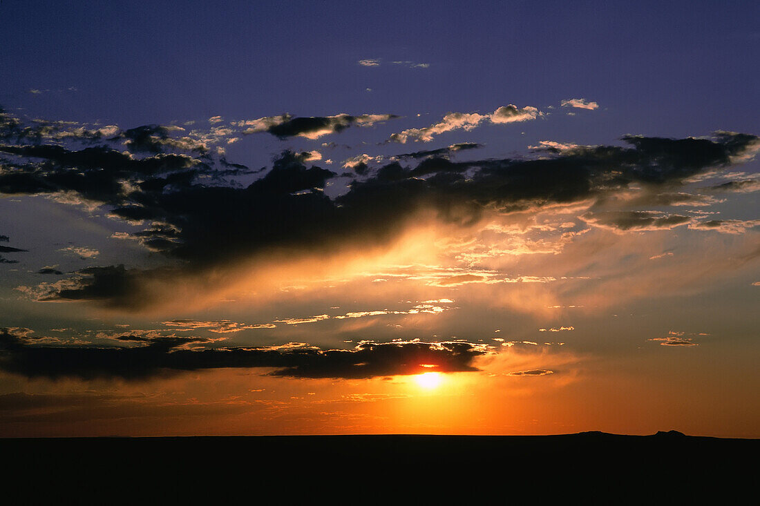 Versteinerter Wald,Arizona,USA