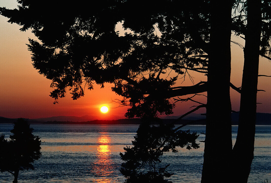 Sonnenuntergang über dem Wasser,San Juan Islands,Washington,USA
