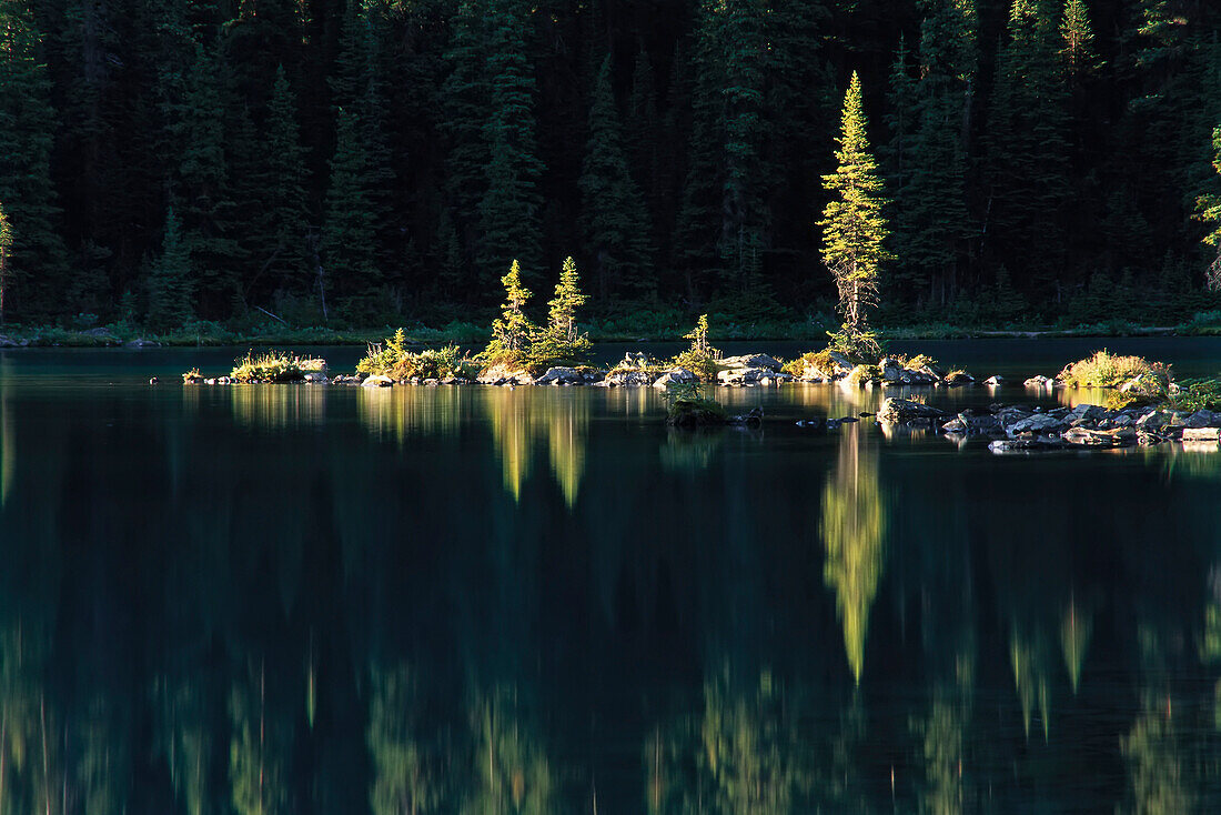 Trees and Reflections on Lake O'Hara,Yoho National Park,British Columbia,Canada