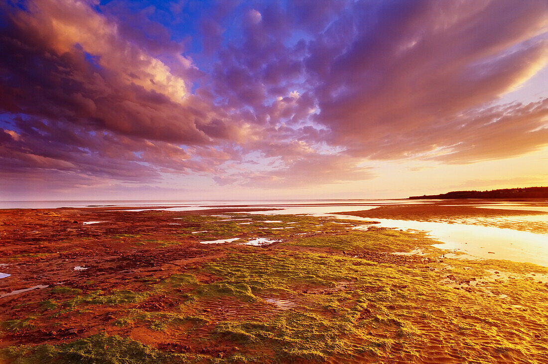 Sunset Over Tidal Flats Canoe Cove,Queen's County Prince Edward Island,Canada