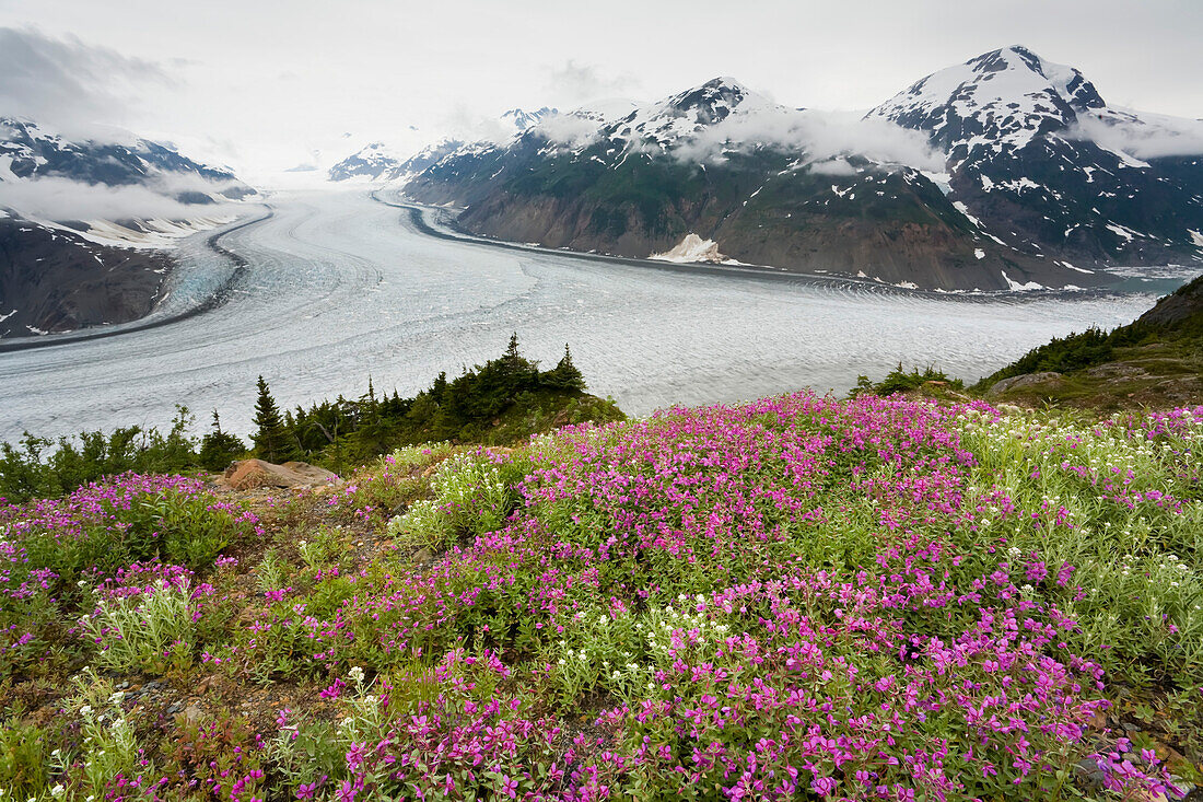 Lachsgletscher,Küstengebirge,Britisch-Kolumbien,Kanada