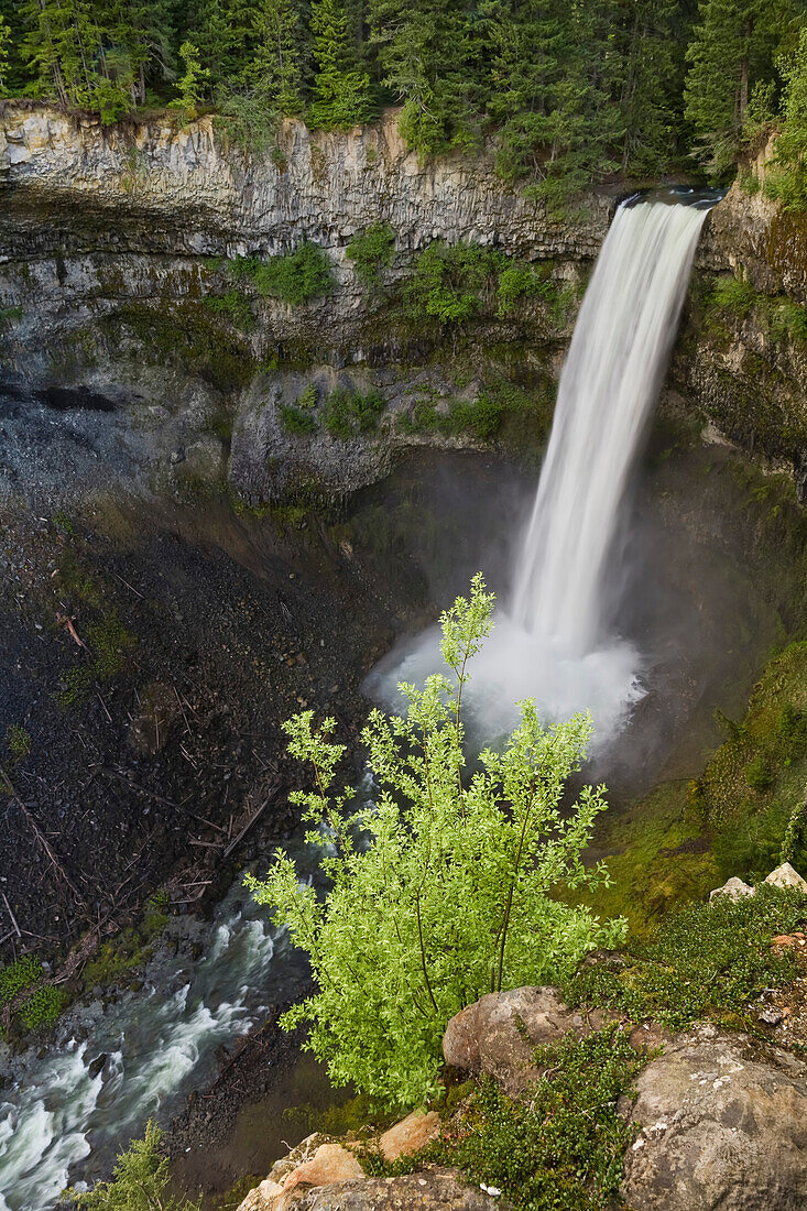Brandywine Falls, Brandywine Falls Provincial Park, Coast Mountains, in der Nähe von Whistler, British Columbia, Kanada