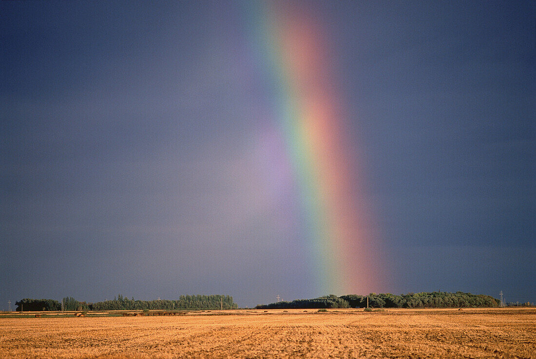 Rainbow over Field Saskatchewan,Canada