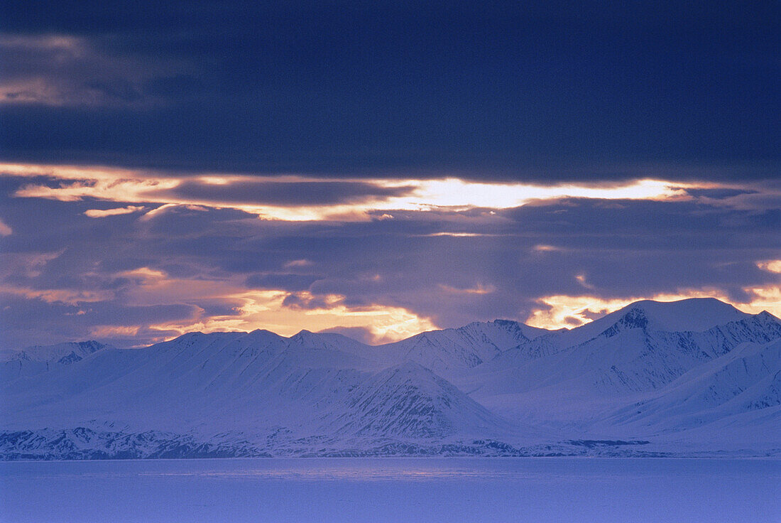 Bylot Island Pond Inlet,Nunavut Canada