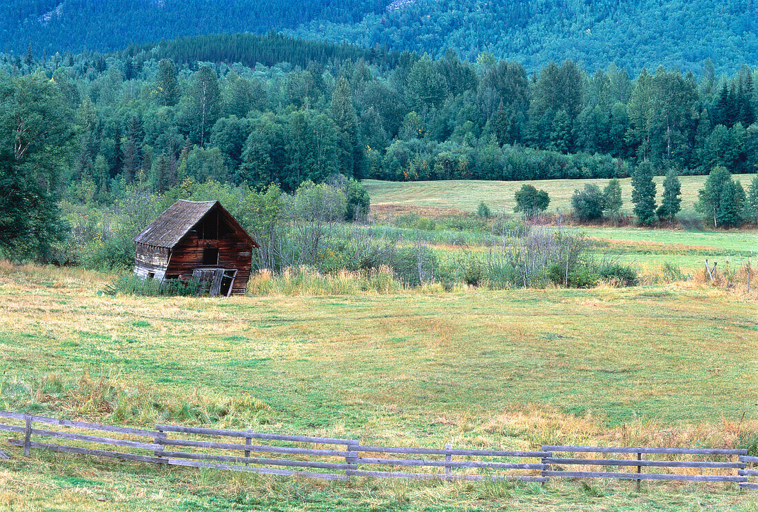 Verlassene Hütte im Feld mit Bäumen British Columbia,Kanada