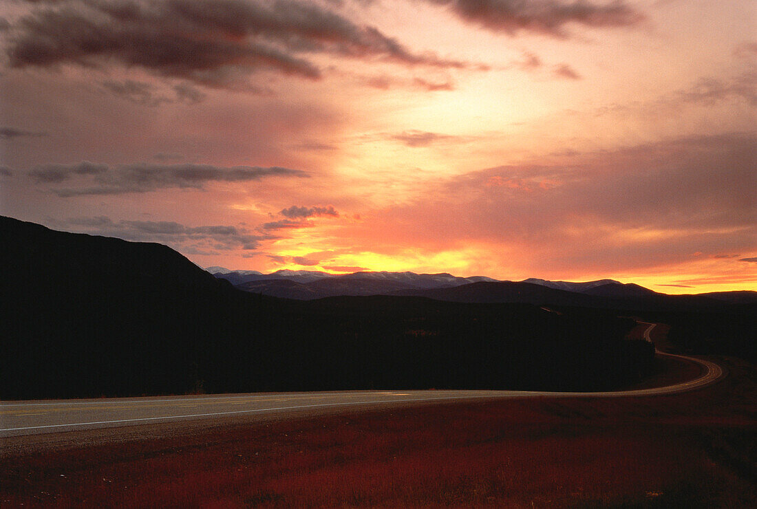 Road at Sunset