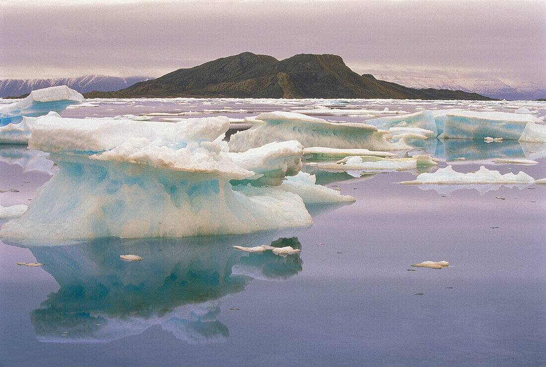 Icebergs in Buchanan Bay Ellesmere Island,Nunavut,Canada