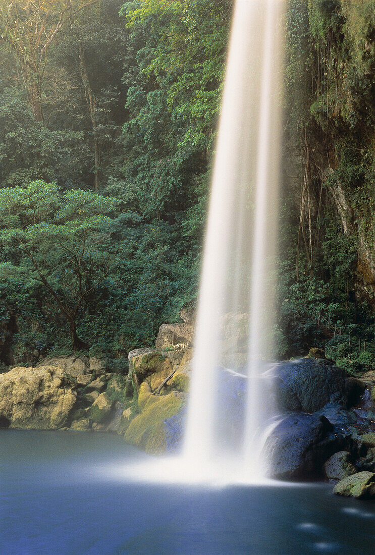 Wasserfall und Laub,Misol-Ha,Chiapas,Mexiko