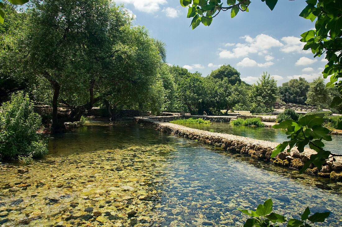 Banias,Jordan River,Golan Heights,Israel