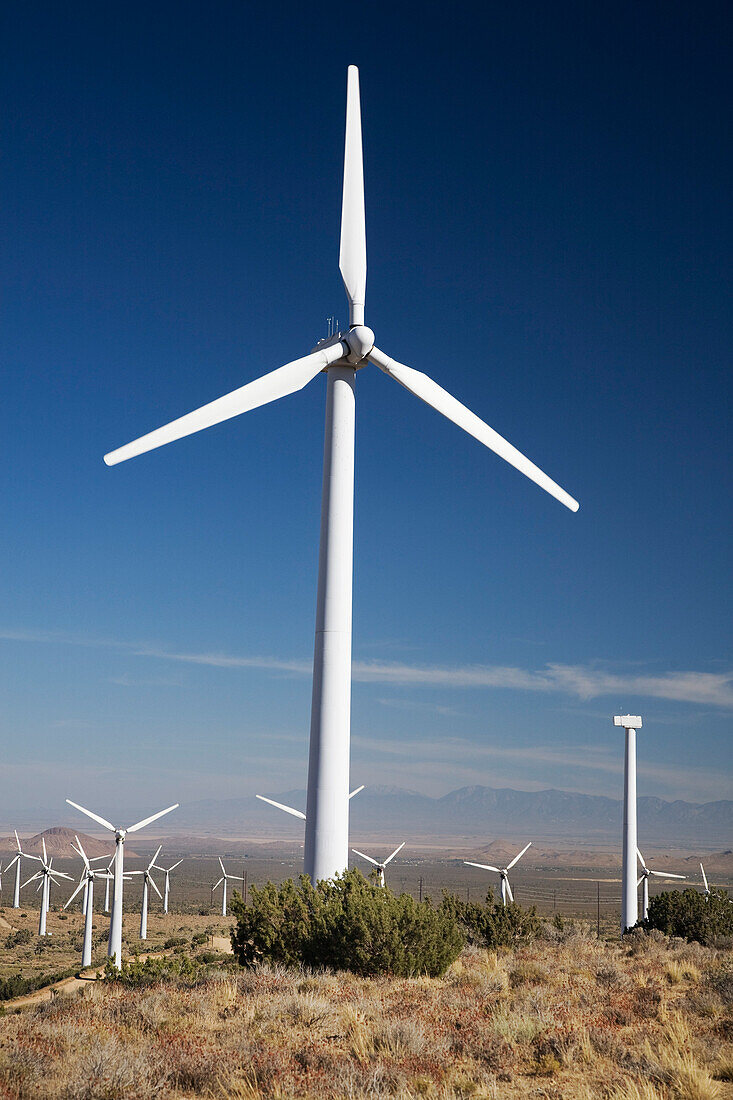 Windpark Tehachapi Pass, Tehachapi, Kern County, Kalifornien, USA