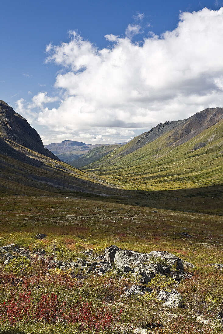 Tombstone River Valley,Tombstone Territorial Park,Yukon,Canada