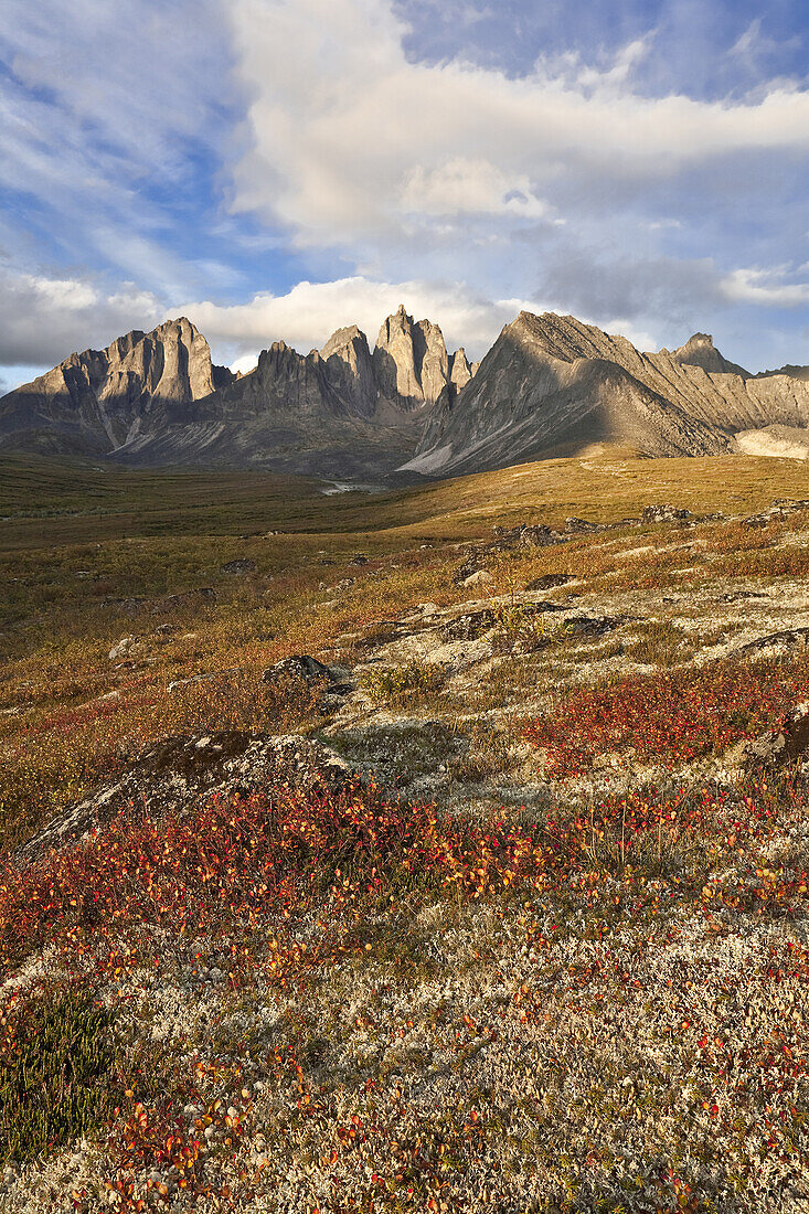 Blaubeerbüsche und Monolith, Tombstone Territorial Park, Yukon, Kanada