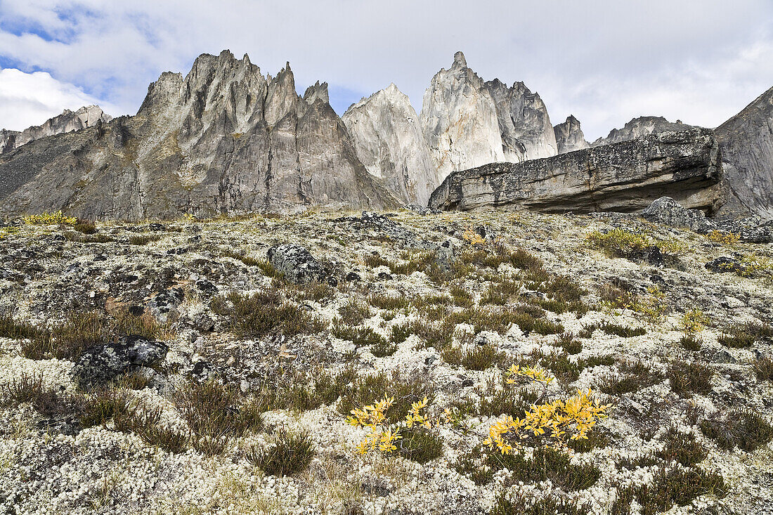 Berg Monolith,Tombstone-Territorialpark,Yukon,Kanada