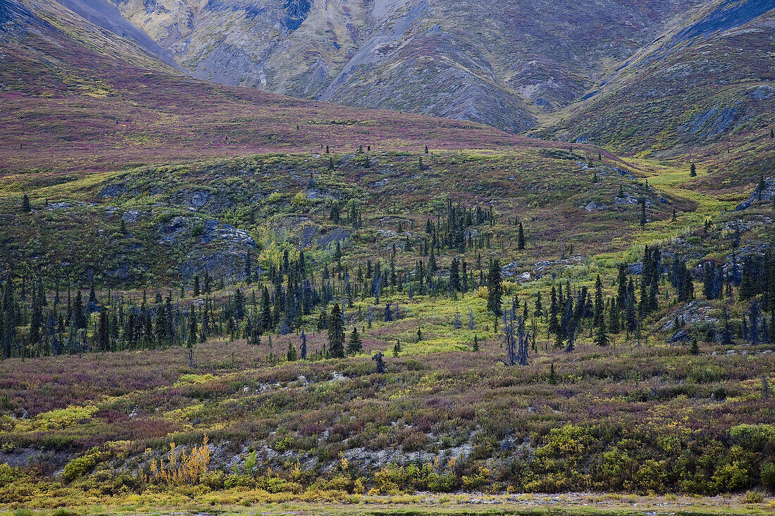 Tal des Nordklondike-Flusses,Tombstone-Territorialpark,Yukon,Kanada