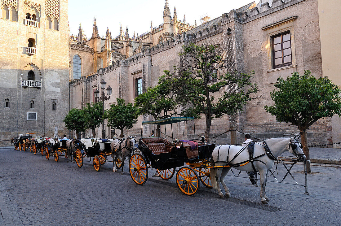 Pferde und Kinderwagen auf der Straße,Sevilla,Spanien