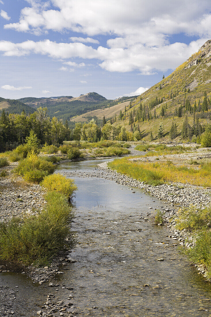 Bach durch die Berge,Livingston Range,Rocky Mountains,Alberta,Kanada