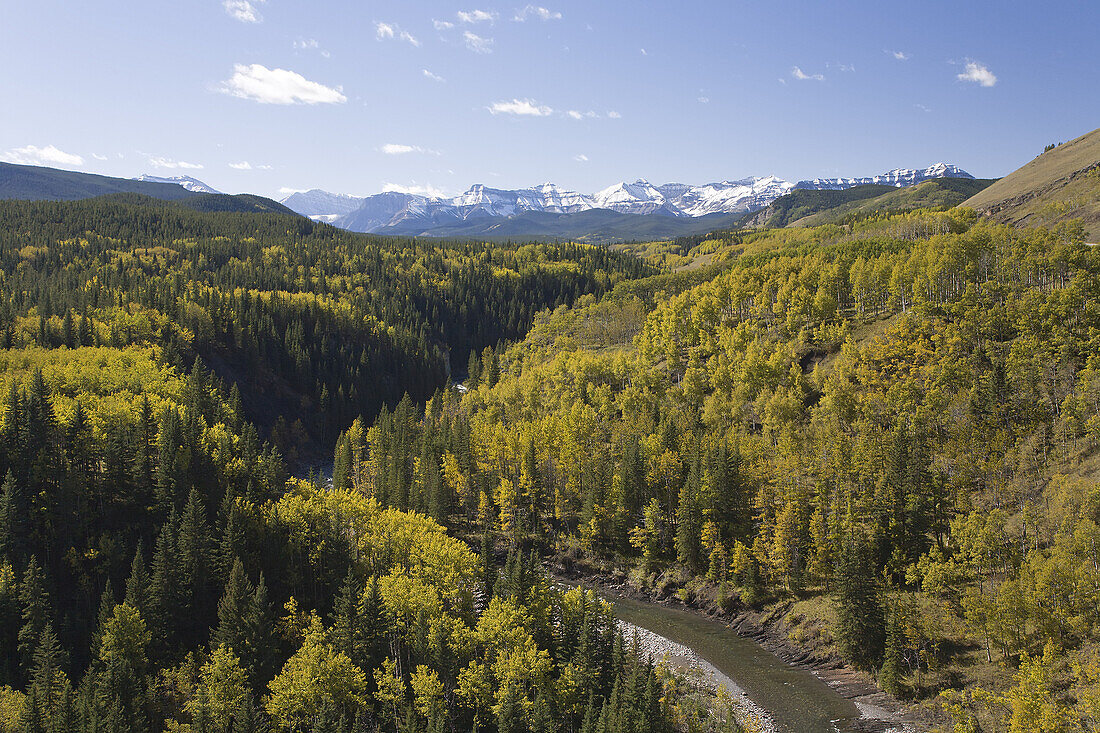 Overview of River Valley,Sheep River Provincial Park,Kananaskis Country,Alberta,Canada