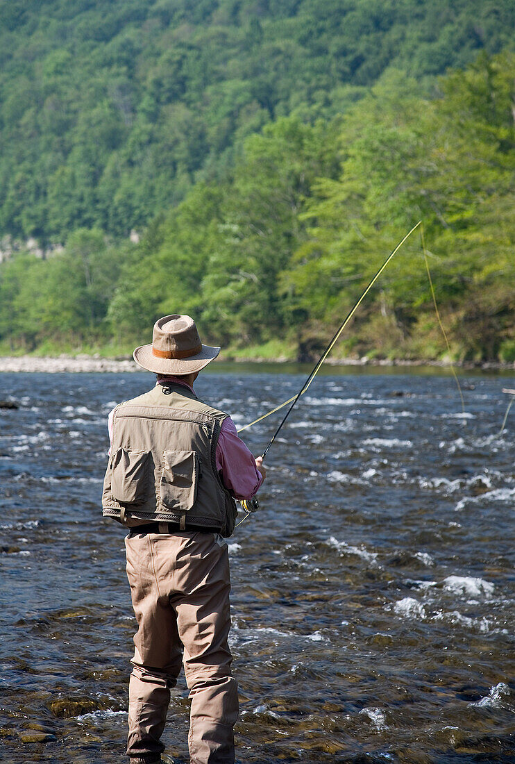 Mann beim Fliegenfischen, Beaverkill River, Catskill Park, New York, USA