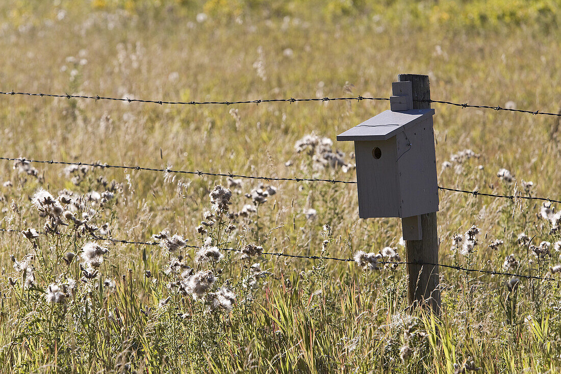 Vogelhäuschen am Zaunpfahl,Kananaskis Country,Alberta,Kanada