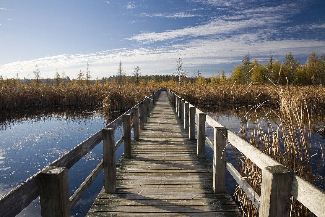 Uferpromenade im Moor, Mer Bleue Conservation Area, Ottawa, Ontario, Kanada