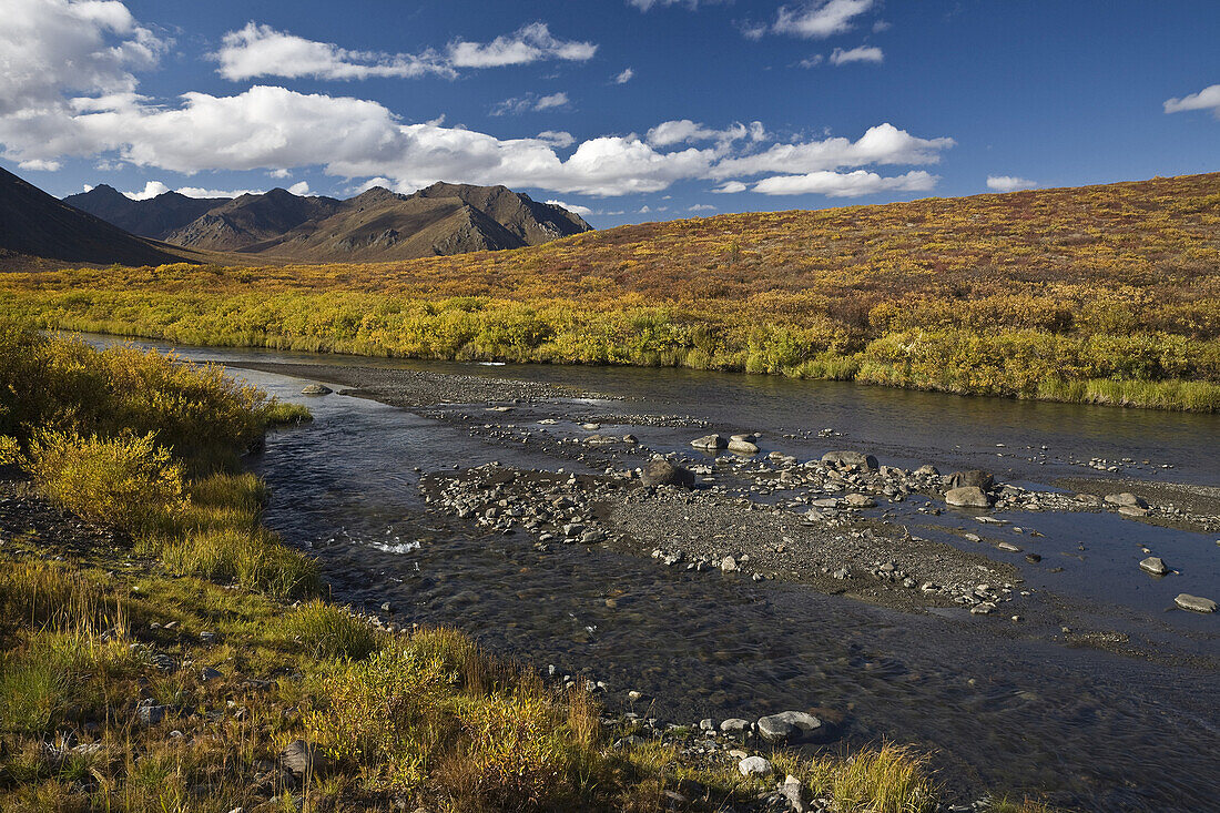 Blackstone-Fluss,Tombstone-Territorialpark,Yukon,Kanada