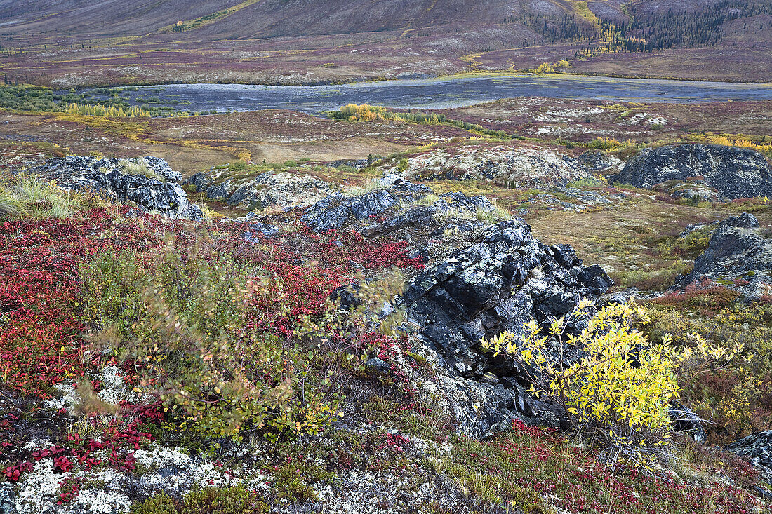 Fluss durch die Tundra, North Klondike River Valley, Tombstone Territorial Park, Yukon, Kanada