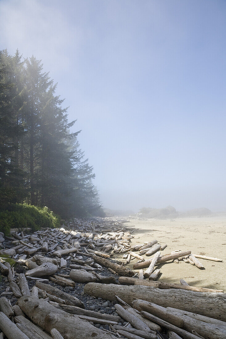 Driftwood on Beach,Long Beach,Pacific Rim National Park,Vancouver Island,British Columbia,Canada