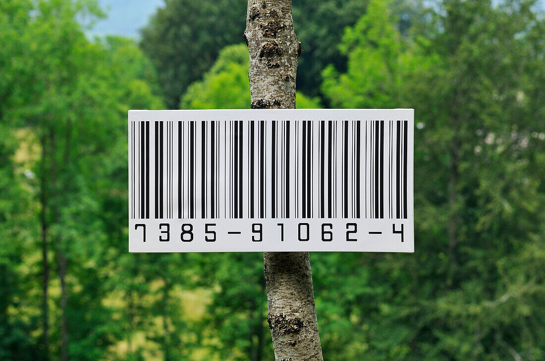 Strichcode auf Baum